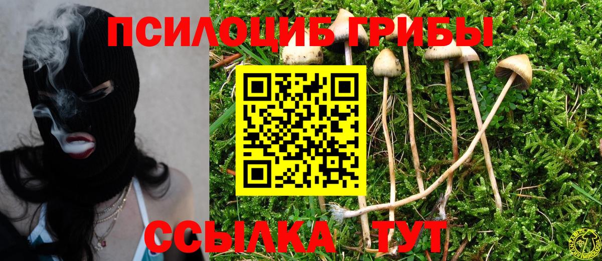 Галлюциногенные грибы Magic Shrooms  Вход с VPN  Джанкой  Псилоцибиновые грибы GOLDEN TEACHER 